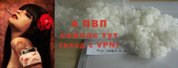 твердый Балахна